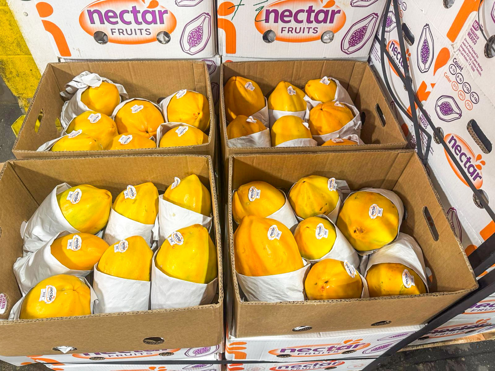 Boxed Nectar Fruits papaya palletized and ready for export during the exportación stage
