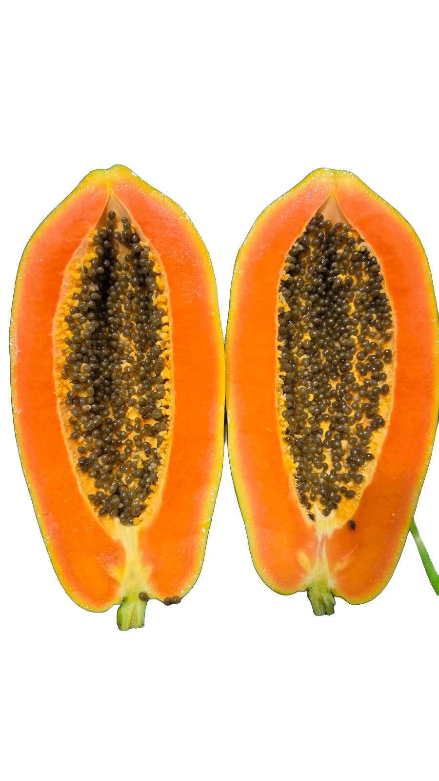 Cross-section of premium papaya showing consistent interior color